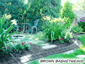 brown3