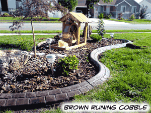 brown2