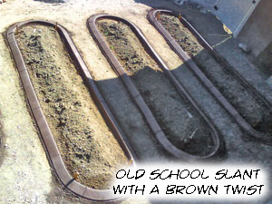 brown4